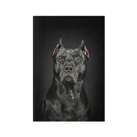 Обложка для паспорта матовая кожа с принтом Питбуль в Новосибирске, натуральная матовая кожа | размер 19,3 х 13,7 см; прозрачные пластиковые крепления | animal | black | breed | bull | combat | dog | ears | eyes | image | muzzle | nose | pit bull | portrait | боевой | бугай | глаза | животное | изображение | нос | пес | питбуль | порода | портрет | псина | собака | уши | черный