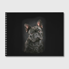 Альбом для рисования с принтом Французский бульдог в Новосибирске, 100% бумага
 | матовая бумага, плотность 200 мг. | animal | background | beast | black | breed | bulldog | cool | cute | dog | ears | french | jaw | look | muzzle | portrait | wool | бульдог | взгляд | животное | зверь | милый | пёс | порода | портрет | прикольно | псина | собака | уши | фон | фра