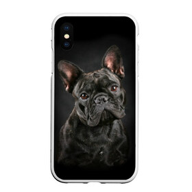 Чехол для iPhone XS Max матовый с принтом Французский бульдог в Новосибирске, Силикон | Область печати: задняя сторона чехла, без боковых панелей | animal | background | beast | black | breed | bulldog | cool | cute | dog | ears | french | jaw | look | muzzle | portrait | wool | бульдог | взгляд | животное | зверь | милый | пёс | порода | портрет | прикольно | псина | собака | уши | фон | фра