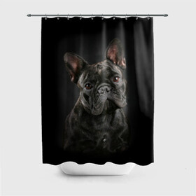 Штора 3D для ванной с принтом Французский бульдог в Новосибирске, 100% полиэстер | плотность материала — 100 г/м2. Стандартный размер — 146 см х 180 см. По верхнему краю — пластиковые люверсы для креплений. В комплекте 10 пластиковых колец | Тематика изображения на принте: animal | background | beast | black | breed | bulldog | cool | cute | dog | ears | french | jaw | look | muzzle | portrait | wool | бульдог | взгляд | животное | зверь | милый | пёс | порода | портрет | прикольно | псина | собака | уши | фон | фра