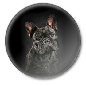 Значок с принтом Французский бульдог в Новосибирске,  металл | круглая форма, металлическая застежка в виде булавки | animal | background | beast | black | breed | bulldog | cool | cute | dog | ears | french | jaw | look | muzzle | portrait | wool | бульдог | взгляд | животное | зверь | милый | пёс | порода | портрет | прикольно | псина | собака | уши | фон | фра