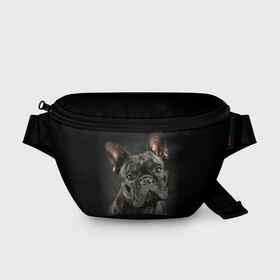 Поясная сумка 3D с принтом Французский бульдог в Новосибирске, 100% полиэстер | плотная ткань, ремень с регулируемой длиной, внутри несколько карманов для мелочей, основное отделение и карман с обратной стороны сумки застегиваются на молнию | animal | background | beast | black | breed | bulldog | cool | cute | dog | ears | french | jaw | look | muzzle | portrait | wool | бульдог | взгляд | животное | зверь | милый | пёс | порода | портрет | прикольно | псина | собака | уши | фон | фра