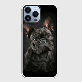 Чехол для iPhone 13 Pro Max с принтом Французский бульдог в Новосибирске,  |  | Тематика изображения на принте: animal | background | beast | black | breed | bulldog | cool | cute | dog | ears | french | jaw | look | muzzle | portrait | wool | бульдог | взгляд | животное | зверь | милый | пёс | порода | портрет | прикольно | псина | собака | уши | фон | фра