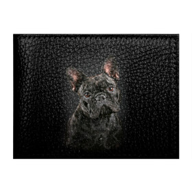 Обложка для студенческого билета с принтом Французский бульдог в Новосибирске, натуральная кожа | Размер: 11*8 см; Печать на всей внешней стороне | animal | background | beast | black | breed | bulldog | cool | cute | dog | ears | french | jaw | look | muzzle | portrait | wool | бульдог | взгляд | животное | зверь | милый | пёс | порода | портрет | прикольно | псина | собака | уши | фон | фра
