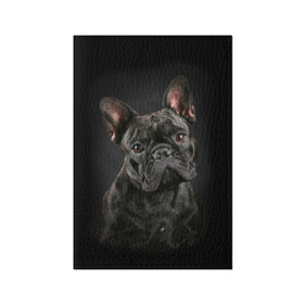 Обложка для паспорта матовая кожа с принтом Французский бульдог в Новосибирске, натуральная матовая кожа | размер 19,3 х 13,7 см; прозрачные пластиковые крепления | animal | background | beast | black | breed | bulldog | cool | cute | dog | ears | french | jaw | look | muzzle | portrait | wool | бульдог | взгляд | животное | зверь | милый | пёс | порода | портрет | прикольно | псина | собака | уши | фон | фра