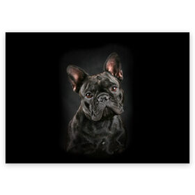 Поздравительная открытка с принтом Французский бульдог в Новосибирске, 100% бумага | плотность бумаги 280 г/м2, матовая, на обратной стороне линовка и место для марки
 | animal | background | beast | black | breed | bulldog | cool | cute | dog | ears | french | jaw | look | muzzle | portrait | wool | бульдог | взгляд | животное | зверь | милый | пёс | порода | портрет | прикольно | псина | собака | уши | фон | фра