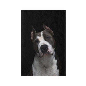 Обложка для паспорта матовая кожа с принтом Американский питбуль в Новосибирске, натуральная матовая кожа | размер 19,3 х 13,7 см; прозрачные пластиковые крепления | animal | black | breed | bull | dog | ears | eyes | fight | fighting | image | muzzle | nose | pit bull | portrait | terrier | white | белый | боевой | бойцовая | бугай | глаза | животное | изображение | нос | пес | питбуль | порода | портрет | пс