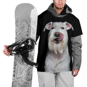 Накидка на куртку 3D с принтом Белый шнауцер в Новосибирске, 100% полиэстер |  | Тематика изображения на принте: animal | background | beast | black | breed | cool | cute | dog | ears | fangs | jaw | look | muzzle | portrait | tongue | white | wool | белый | взгляд | животное | зверь | клыки | милый | пёс | порода | портрет | прикольно | псина | собака | уши