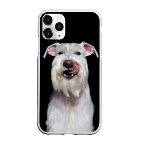 Чехол для iPhone 11 Pro матовый с принтом Белый шнауцер в Новосибирске, Силикон |  | animal | background | beast | black | breed | cool | cute | dog | ears | fangs | jaw | look | muzzle | portrait | tongue | white | wool | белый | взгляд | животное | зверь | клыки | милый | пёс | порода | портрет | прикольно | псина | собака | уши