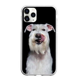 Чехол для iPhone 11 Pro Max матовый с принтом Белый шнауцер в Новосибирске, Силикон |  | animal | background | beast | black | breed | cool | cute | dog | ears | fangs | jaw | look | muzzle | portrait | tongue | white | wool | белый | взгляд | животное | зверь | клыки | милый | пёс | порода | портрет | прикольно | псина | собака | уши