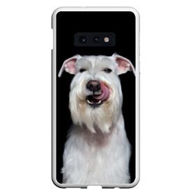 Чехол для Samsung S10E с принтом Белый шнауцер в Новосибирске, Силикон | Область печати: задняя сторона чехла, без боковых панелей | animal | background | beast | black | breed | cool | cute | dog | ears | fangs | jaw | look | muzzle | portrait | tongue | white | wool | белый | взгляд | животное | зверь | клыки | милый | пёс | порода | портрет | прикольно | псина | собака | уши