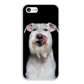 Чехол для iPhone 5/5S матовый с принтом Белый шнауцер в Новосибирске, Силикон | Область печати: задняя сторона чехла, без боковых панелей | animal | background | beast | black | breed | cool | cute | dog | ears | fangs | jaw | look | muzzle | portrait | tongue | white | wool | белый | взгляд | животное | зверь | клыки | милый | пёс | порода | портрет | прикольно | псина | собака | уши