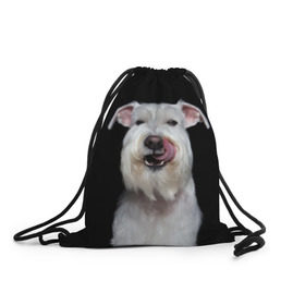 Рюкзак-мешок 3D с принтом Белый шнауцер в Новосибирске, 100% полиэстер | плотность ткани — 200 г/м2, размер — 35 х 45 см; лямки — толстые шнурки, застежка на шнуровке, без карманов и подкладки | animal | background | beast | black | breed | cool | cute | dog | ears | fangs | jaw | look | muzzle | portrait | tongue | white | wool | белый | взгляд | животное | зверь | клыки | милый | пёс | порода | портрет | прикольно | псина | собака | уши