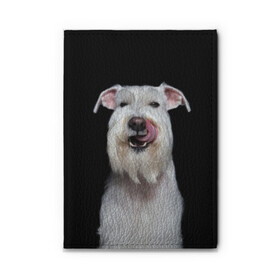 Обложка для автодокументов с принтом Белый шнауцер в Новосибирске, натуральная кожа |  размер 19,9*13 см; внутри 4 больших “конверта” для документов и один маленький отдел — туда идеально встанут права | animal | background | beast | black | breed | cool | cute | dog | ears | fangs | jaw | look | muzzle | portrait | tongue | white | wool | белый | взгляд | животное | зверь | клыки | милый | пёс | порода | портрет | прикольно | псина | собака | уши