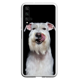 Чехол для Honor 20 с принтом Белый шнауцер в Новосибирске, Силикон | Область печати: задняя сторона чехла, без боковых панелей | animal | background | beast | black | breed | cool | cute | dog | ears | fangs | jaw | look | muzzle | portrait | tongue | white | wool | белый | взгляд | животное | зверь | клыки | милый | пёс | порода | портрет | прикольно | псина | собака | уши