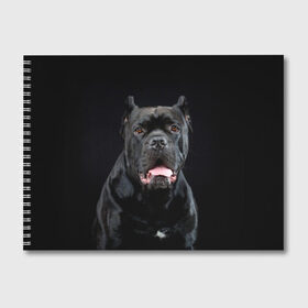 Альбом для рисования с принтом Черный кан - корсо в Новосибирске, 100% бумага
 | матовая бумага, плотность 200 мг. | Тематика изображения на принте: animal | background | beast | black | breed | can   corso | cool | cute | dog | ears | fangs | jaw | look | muzzle | portrait | tongue | wool | взгляд | животное | зверь | кан   корсо | клыки | милый | пёс | порода | портрет | прикольно | псина | 