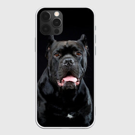 Чехол для iPhone 12 Pro Max с принтом Черный кан - корсо в Новосибирске, Силикон |  | Тематика изображения на принте: animal | background | beast | black | breed | can   corso | cool | cute | dog | ears | fangs | jaw | look | muzzle | portrait | tongue | wool | взгляд | животное | зверь | кан   корсо | клыки | милый | пёс | порода | портрет | прикольно | псина | 