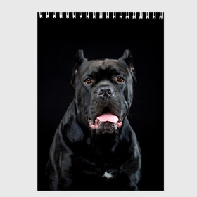 Скетчбук с принтом Черный кан - корсо в Новосибирске, 100% бумага
 | 48 листов, плотность листов — 100 г/м2, плотность картонной обложки — 250 г/м2. Листы скреплены сверху удобной пружинной спиралью | animal | background | beast | black | breed | can   corso | cool | cute | dog | ears | fangs | jaw | look | muzzle | portrait | tongue | wool | взгляд | животное | зверь | кан   корсо | клыки | милый | пёс | порода | портрет | прикольно | псина | 