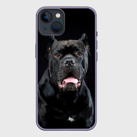 Чехол для iPhone 13 с принтом Черный кан   корсо в Новосибирске,  |  | animal | background | beast | black | breed | can   corso | cool | cute | dog | ears | fangs | jaw | look | muzzle | portrait | tongue | wool | взгляд | животное | зверь | кан   корсо | клыки | милый | пёс | порода | портрет | прикольно | псина | 