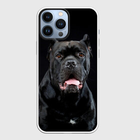 Чехол для iPhone 13 Pro Max с принтом Черный кан   корсо в Новосибирске,  |  | animal | background | beast | black | breed | can   corso | cool | cute | dog | ears | fangs | jaw | look | muzzle | portrait | tongue | wool | взгляд | животное | зверь | кан   корсо | клыки | милый | пёс | порода | портрет | прикольно | псина | 