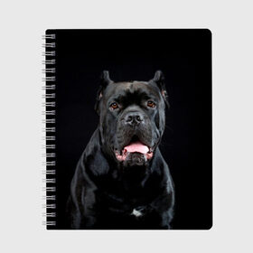 Тетрадь с принтом Черный кан - корсо в Новосибирске, 100% бумага | 48 листов, плотность листов — 60 г/м2, плотность картонной обложки — 250 г/м2. Листы скреплены сбоку удобной пружинной спиралью. Уголки страниц и обложки скругленные. Цвет линий — светло-серый
 | animal | background | beast | black | breed | can   corso | cool | cute | dog | ears | fangs | jaw | look | muzzle | portrait | tongue | wool | взгляд | животное | зверь | кан   корсо | клыки | милый | пёс | порода | портрет | прикольно | псина | 
