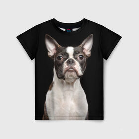 Детская футболка 3D с принтом Бостонский терьер в Новосибирске, 100% гипоаллергенный полиэфир | прямой крой, круглый вырез горловины, длина до линии бедер, чуть спущенное плечо, ткань немного тянется | Тематика изображения на принте: animal | background | beast | black | boston | breed | color | cool | cute | dog | ears | jaw | look | muzzle | pet | portrait | terrier | white | wool | белый | бостон | взгляд | животное | зверь | милый | пёс | питомец | порода | портрет | прико