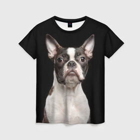 Женская футболка 3D с принтом Бостонский терьер в Новосибирске, 100% полиэфир ( синтетическое хлопкоподобное полотно) | прямой крой, круглый вырез горловины, длина до линии бедер | Тематика изображения на принте: animal | background | beast | black | boston | breed | color | cool | cute | dog | ears | jaw | look | muzzle | pet | portrait | terrier | white | wool | белый | бостон | взгляд | животное | зверь | милый | пёс | питомец | порода | портрет | прико