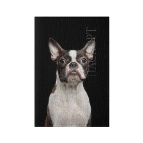Обложка для паспорта матовая кожа с принтом Бостонский терьер в Новосибирске, натуральная матовая кожа | размер 19,3 х 13,7 см; прозрачные пластиковые крепления | Тематика изображения на принте: animal | background | beast | black | boston | breed | color | cool | cute | dog | ears | jaw | look | muzzle | pet | portrait | terrier | white | wool | белый | бостон | взгляд | животное | зверь | милый | пёс | питомец | порода | портрет | прико