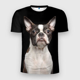 Мужская футболка 3D спортивная с принтом Бостонский терьер в Новосибирске, 100% полиэстер с улучшенными характеристиками | приталенный силуэт, круглая горловина, широкие плечи, сужается к линии бедра | Тематика изображения на принте: animal | background | beast | black | boston | breed | color | cool | cute | dog | ears | jaw | look | muzzle | pet | portrait | terrier | white | wool | белый | бостон | взгляд | животное | зверь | милый | пёс | питомец | порода | портрет | прико