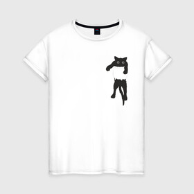 Женская футболка хлопок с принтом Кися в кармане в Новосибирске, 100% хлопок | прямой крой, круглый вырез горловины, длина до линии бедер, слегка спущенное плечо | cat | арт | животные | карман | кися | кот | кот в кармане | котенок | коты | кошка