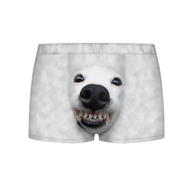 Мужские трусы 3D с принтом Собака - улыбака в Новосибирске, 50% хлопок, 50% полиэстер | классическая посадка, на поясе мягкая тканевая резинка | Тематика изображения на принте: животные | зубы | мордочка | пес | прикол | смешная | собака | улыбака | улыбка | щенок | юмор
