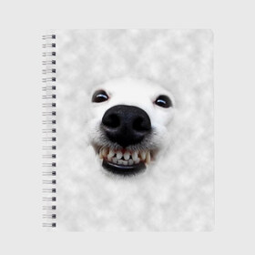 Тетрадь с принтом Собака - улыбака в Новосибирске, 100% бумага | 48 листов, плотность листов — 60 г/м2, плотность картонной обложки — 250 г/м2. Листы скреплены сбоку удобной пружинной спиралью. Уголки страниц и обложки скругленные. Цвет линий — светло-серый
 | Тематика изображения на принте: животные | зубы | мордочка | пес | прикол | смешная | собака | улыбака | улыбка | щенок | юмор