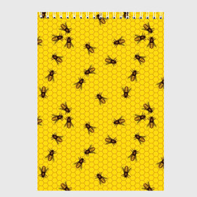 Скетчбук с принтом Пчелы в сотах в Новосибирске, 100% бумага
 | 48 листов, плотность листов — 100 г/м2, плотность картонной обложки — 250 г/м2. Листы скреплены сверху удобной пружинной спиралью | bee | beehive | brown | bug | honey | honeycomb | insect | toiler | yellow | букашка | желтый | коричневый | мёд | насекомое | пчела | соты | труженик | улей
