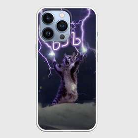 Чехол для iPhone 13 Pro с принтом ЪУЪ СЪУКА в Новосибирске,  |  | lightning cat | грозовой кошак | злой кот | кот | кошак | мем | мем с котом | молнии | облака | прикол | стиль | тренд | у | у ска | черный кот | черный кот мем | юмор