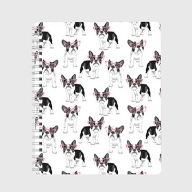 Тетрадь с принтом Французские бульдоги в очках в Новосибирске, 100% бумага | 48 листов, плотность листов — 60 г/м2, плотность картонной обложки — 250 г/м2. Листы скреплены сбоку удобной пружинной спиралью. Уголки страниц и обложки скругленные. Цвет линий — светло-серый
 | black | breed | cool | cute | dog | french bulldog | pink | puppy | white | белый | мило | очки | пёс | порода | прикольный | псина | розовый | собака | французский бульдог | черный | щенок
