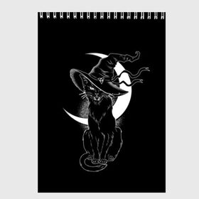 Скетчбук с принтом Кошка колдунья в Новосибирске, 100% бумага
 | 48 листов, плотность листов — 100 г/м2, плотность картонной обложки — 250 г/м2. Листы скреплены сверху удобной пружинной спиралью | black | cat | cl | crescent | fangs | halloween | hat | holiday | hunter | kitty | magic | month | moon | mystic | night | predator | white | witch | белый | ведьма | киса | клыки | когти | колдовство | кот | котэ | кошка | луна | магия | месяц | мистика 