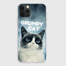 Чехол для iPhone 12 Pro Max с принтом Grumpy Cat в Новосибирске, Силикон |  | кот | котики | коты | мем | мемы | сердитый кот