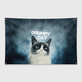 Флаг-баннер с принтом Grumpy Cat в Новосибирске, 100% полиэстер | размер 67 х 109 см, плотность ткани — 95 г/м2; по краям флага есть четыре люверса для крепления | кот | котики | коты | мем | мемы | сердитый кот