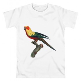 Мужская футболка хлопок с принтом Попугай. Аратинга. в Новосибирске, 100% хлопок | прямой крой, круглый вырез горловины, длина до линии бедер, слегка спущенное плечо. | аратинга | бразилия | зоозащита | попугаи | попугайчики | природа | птица | птицы | солнечный