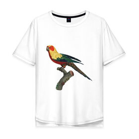 Мужская футболка хлопок Oversize с принтом Попугай. Аратинга. в Новосибирске, 100% хлопок | свободный крой, круглый ворот, “спинка” длиннее передней части | аратинга | бразилия | зоозащита | попугаи | попугайчики | природа | птица | птицы | солнечный