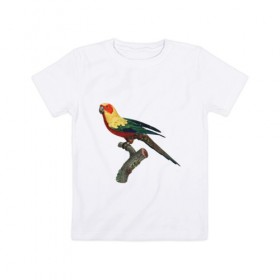 Детская футболка хлопок с принтом Попугай. Аратинга. в Новосибирске, 100% хлопок | круглый вырез горловины, полуприлегающий силуэт, длина до линии бедер | Тематика изображения на принте: аратинга | бразилия | зоозащита | попугаи | попугайчики | природа | птица | птицы | солнечный