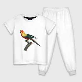 Детская пижама хлопок с принтом Попугай. Аратинга. в Новосибирске, 100% хлопок |  брюки и футболка прямого кроя, без карманов, на брюках мягкая резинка на поясе и по низу штанин
 | аратинга | бразилия | зоозащита | попугаи | попугайчики | природа | птица | птицы | солнечный
