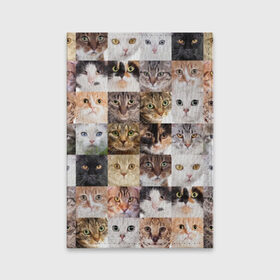 Обложка для паспорта матовая кожа с принтом Кошачий коллаж в Новосибирске, натуральная матовая кожа | размер 19,3 х 13,7 см; прозрачные пластиковые крепления | breed | cat | cats | collage | eyes | fluffy | funny | kitten | look | meow | mustache | muzzle | photo | squares | взгляд | глаза | квадраты | коллаж | кот | котёнок | котики | кошка | мяу | порода | прикольный | пушистый | усы | фото