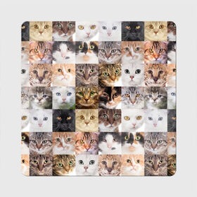 Магнит виниловый Квадрат с принтом Кошачий коллаж в Новосибирске, полимерный материал с магнитным слоем | размер 9*9 см, закругленные углы | breed | cat | cats | collage | eyes | fluffy | funny | kitten | look | meow | mustache | muzzle | photo | squares | взгляд | глаза | квадраты | коллаж | кот | котёнок | котики | кошка | мяу | порода | прикольный | пушистый | усы | фото