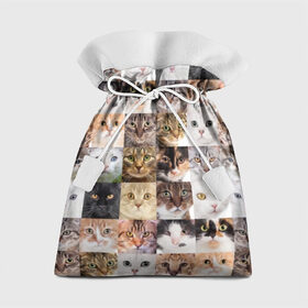 Подарочный 3D мешок с принтом Кошачий коллаж в Новосибирске, 100% полиэстер | Размер: 29*39 см | Тематика изображения на принте: breed | cat | cats | collage | eyes | fluffy | funny | kitten | look | meow | mustache | muzzle | photo | squares | взгляд | глаза | квадраты | коллаж | кот | котёнок | котики | кошка | мяу | порода | прикольный | пушистый | усы | фото