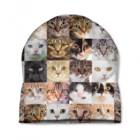 Шапка 3D с принтом Кошачий коллаж в Новосибирске, 100% полиэстер | универсальный размер, печать по всей поверхности изделия | Тематика изображения на принте: breed | cat | cats | collage | eyes | fluffy | funny | kitten | look | meow | mustache | muzzle | photo | squares | взгляд | глаза | квадраты | коллаж | кот | котёнок | котики | кошка | мяу | порода | прикольный | пушистый | усы | фото