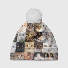 Шапка 3D c помпоном с принтом Кошачий коллаж в Новосибирске, 100% полиэстер | универсальный размер, печать по всей поверхности изделия | Тематика изображения на принте: breed | cat | cats | collage | eyes | fluffy | funny | kitten | look | meow | mustache | muzzle | photo | squares | взгляд | глаза | квадраты | коллаж | кот | котёнок | котики | кошка | мяу | порода | прикольный | пушистый | усы | фото