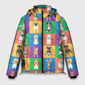 Мужская зимняя куртка 3D с принтом Забавные собаки в Новосибирске, верх — 100% полиэстер; подкладка — 100% полиэстер; утеплитель — 100% полиэстер | длина ниже бедра, свободный силуэт Оверсайз. Есть воротник-стойка, отстегивающийся капюшон и ветрозащитная планка. 

Боковые карманы с листочкой на кнопках и внутренний карман на молнии. | breed | bright | chihuahua | dog | funny | husky | labrador | multicolored | pit bu | poodle | pug | puppy | rottweiler | sheepdog | долматинец | китайская хохлатая | колли | лабрадор | мопс | овчарка | пёс | порода | прикольный | псина | пудель | разноцв