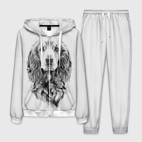 Мужской костюм 3D с принтом Кокер спаниель в Новосибирске, 100% полиэстер | Манжеты и пояс оформлены тканевой резинкой, двухслойный капюшон со шнурком для регулировки, карманы спереди | Тематика изображения на принте: animal | black | breed | cocker spaniel | cool | dog | eyes | interesting | look | muzzle | white | wool | белый | взгляд | глаза | животное | интересный | кокер спаниель | пёс | порода | прикольный | псина | собака | собакен | черный | шерсть