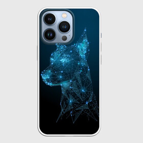 Чехол для iPhone 13 Pro с принтом Доберман в Новосибирске,  |  | animal | blue | breed | doberman | dog | geometric | pattern | service | space | stars | геометрический | доберман | животное | звёзды | космос | порода | рисунок | синий | служебный | собака